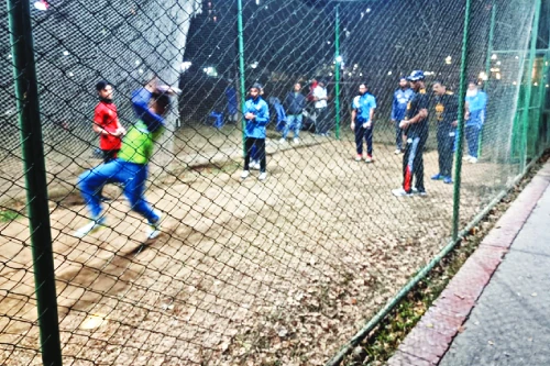 Cricket Net