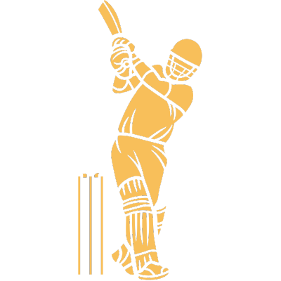 Cricket net