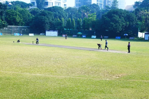 Cricket Ground